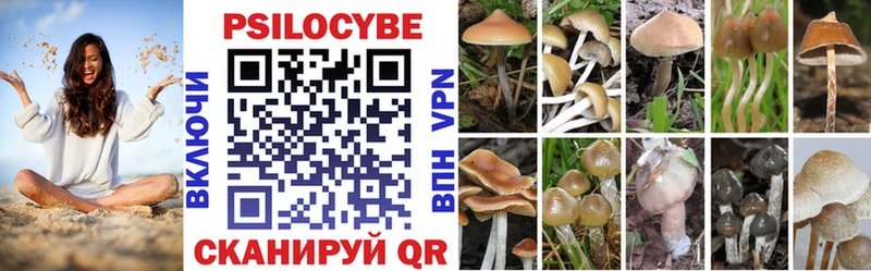 цена   Урень  Галлюциногенные грибы Magic Shrooms 