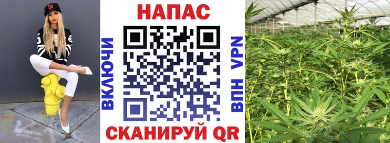 Канабис Ganja  где продают наркотики  Урень 
